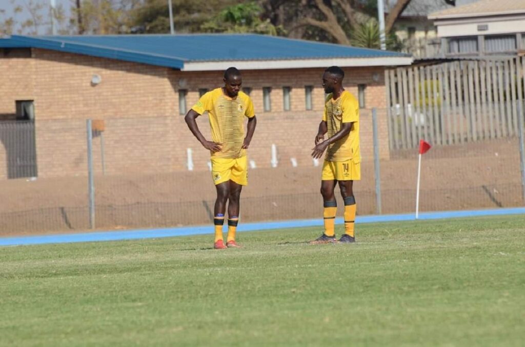 Isijike endleleni iBlack Leopards, ayisayi ehlathini elimnyama