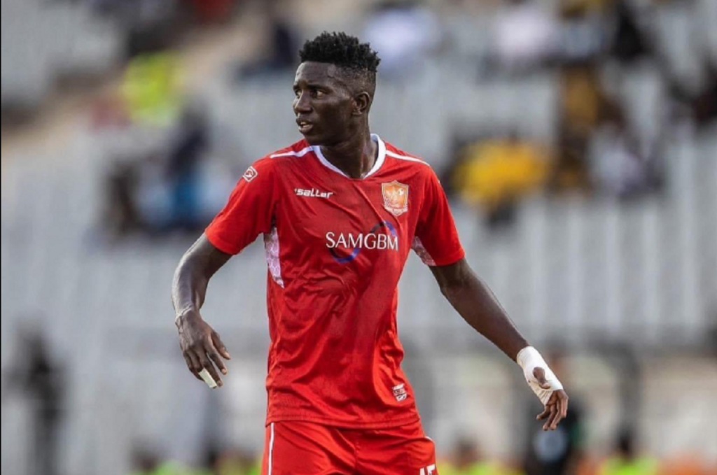 Acishe athenga ingulube isesakeni AmaZulu