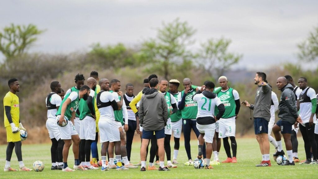 Izinkunzi zaseGauteng zihlela ukucela ubuhlobo obuhle kuMaZulu