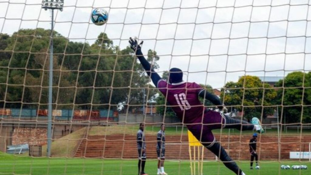 Owe-Swallows uhlambuluka ngesimo esibi eqenjini