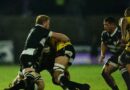 ISharks XV izobhekana nomqansa kwiGriquas koweCurrie Cup