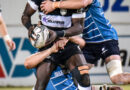 ISharks XV izodlalela ukusiza uJeremy Swan koweCarling Currie Cup
