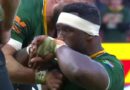 AmaBhokobhoko abuyise izinduku eshaya iNew Zealand eKapa