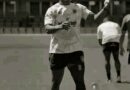 ISharks ibheke ukunqoba okwesibili kulandelana kwi-URC